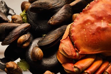 pişmemiş yengeç, cockles ve midye yakın görünümü siyah izole su üzerinde taşlar üzerinde yeşillik ile