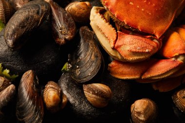 close up view of uncooked crab, cockles and mussels with greenery on stones isolated on black clipart