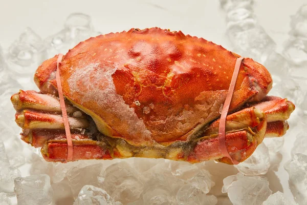 Gefrorene Rohe Krabbe Mit Fester Schale Auf Eiswürfeln Auf Weißem — Stockfoto