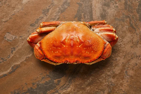 Top View Frozen Raw Crab Solid Shell Textured Surface — Stock Photo, Image