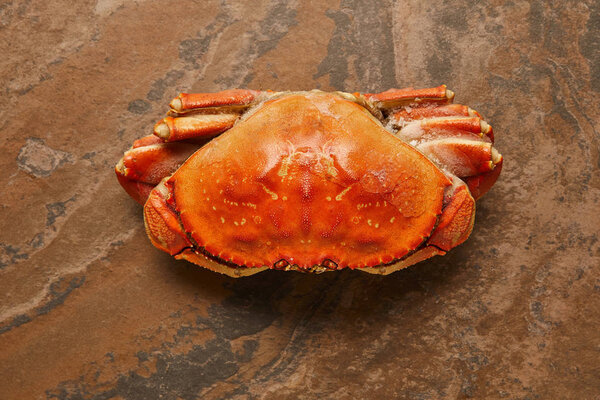 top view of  frozen raw crab with solid shell on textured surface