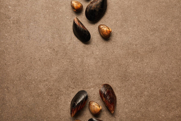flat lay with cockles and mussels on textured surface 