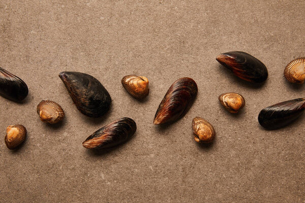 flat lay with uncooked cockles and mussels on textured surface 