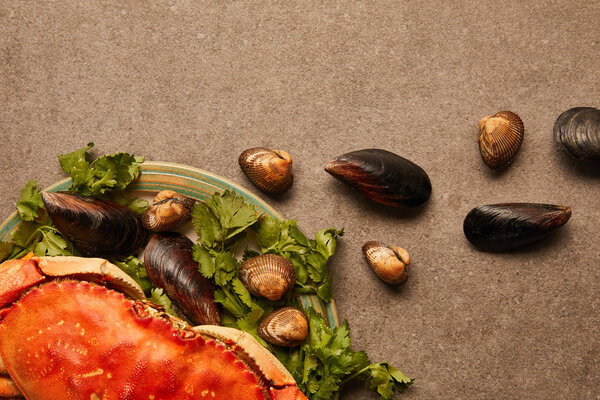 top view of raw crab and greenery on plate near scattered cockles and mussels on textured surface 