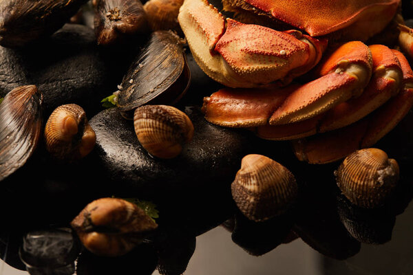 close up view of uncooked crab, cockles and mussels on stones above water isolated on black