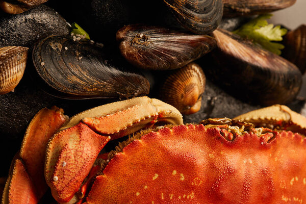 close up view of uncooked crab, cockles and mussels with greenery and sand on stones 