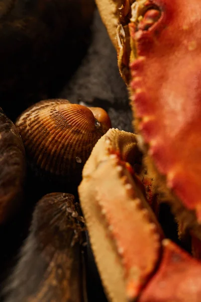 Nahaufnahme Von Rohen Krabben Herzmuscheln Und Muscheln Auf Steinen — Stockfoto