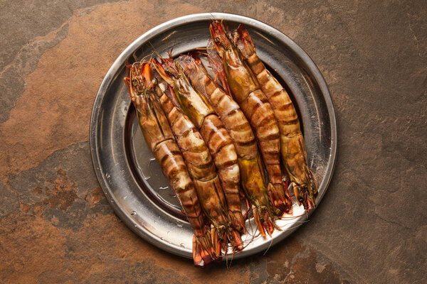 верхний вид моллюсков в металлическом аквариуме на текстурированной поверхности
 