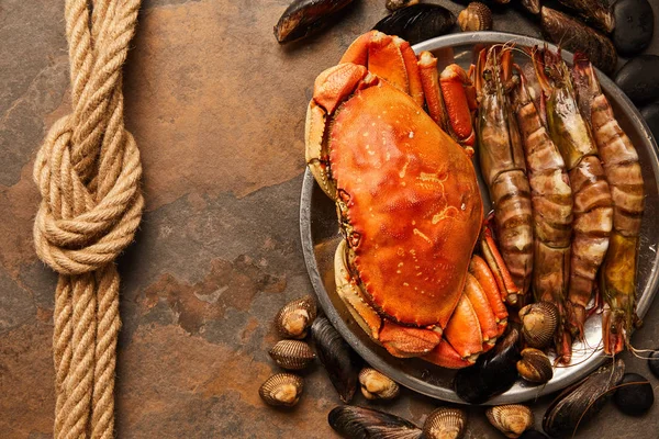 Top View Uncooked Crab Shellfish Cockles Mussels Bowl Rope Textured — Stock Photo, Image