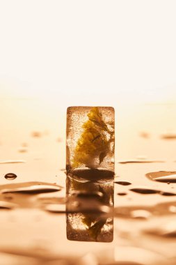transparent ice cube with frozen flower on yellow illuminated background clipart