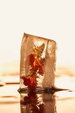 close up view of transparent ice cube with frozen flower on yellow illuminated background clipart