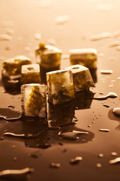 Stack Transparent Ice Cubes Frozen Flowers Brown Background Water Drops — Stock Photo, Image