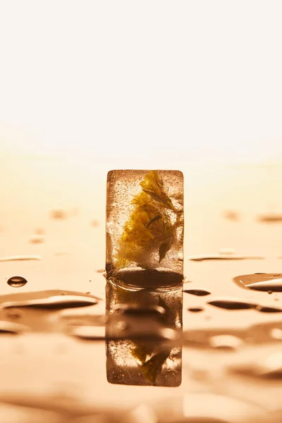 Cubetto Ghiaccio Trasparente Con Fiore Congelato Sfondo Giallo Illuminato — Foto Stock