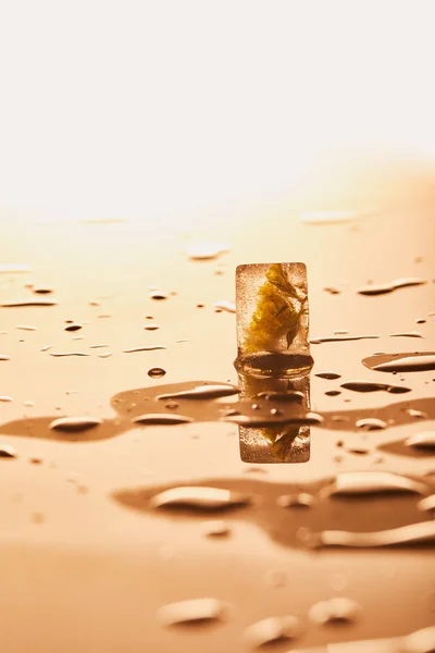 Cubo Gelo Transparente Com Flor Congelada Perto Gotas Água Fundo — Fotografia de Stock