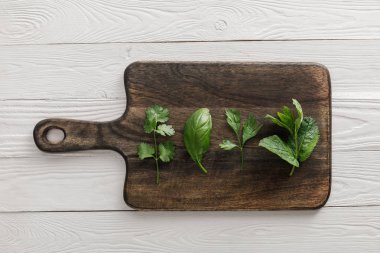 Top view of brown wooden cutting board with parsley, basil, cilantro and peppermint leaves on white surface clipart