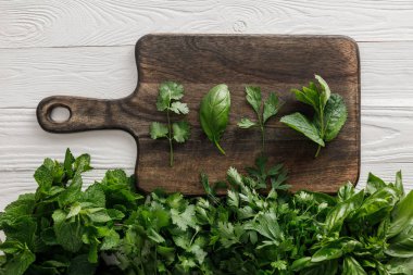 Top view of brown wooden cutting board with basil, parsley, cilantro and peppermint leaves near bundles of greenery on white surface clipart