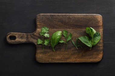 Top view of brown wooden cutting board with parsley, basil, cilantro and peppermint leaves on dark surface clipart