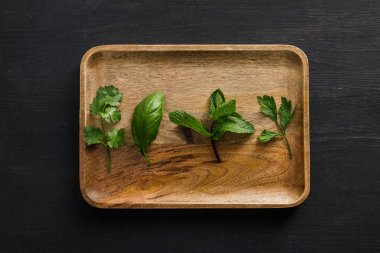 Top view of brown wooden dish with parsley, basil, cilantro and peppermint leaves on dark surface clipart