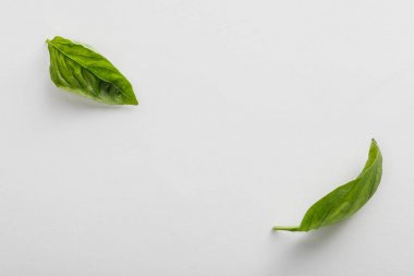 Top view of fresh green basil leaves on white background clipart