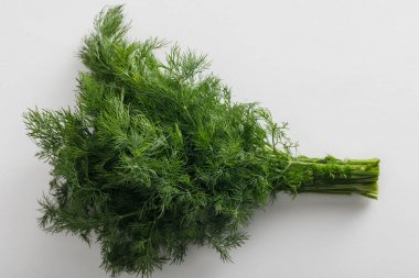 Bundle of aromatic fresh green dill on white background clipart