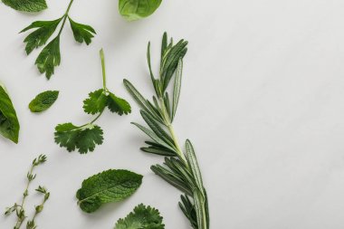 Top view of basil, cilantro, parsley, rosemary and thyme sprigs on white background clipart