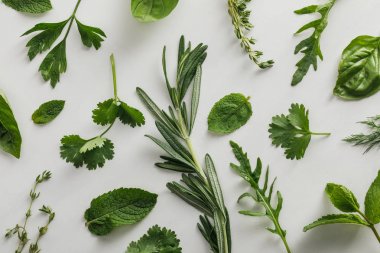 Top view of arugula, basil, cilantro, dill, parsley, rosemary and thyme sprigs on white background clipart