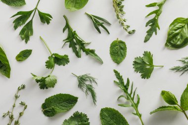 Beyaz arka planda arugula, fesleğen, kişniş, dereotu, maydanoz, biberiye ve kekik dalları üst görünümü