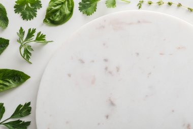 Fesleğen, nane, kişniş ve maydanoz yaprakları beyaz arka plan üzerinde yakın yuvarlak boş mermer yüzeyüst görünümü