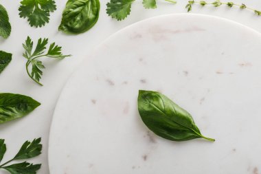 Beyaz arka planda kekik, fesleğen, kişniş ve maydanoz yapraklarına yakın yuvarlak mermer yüzeyin üst görünümü