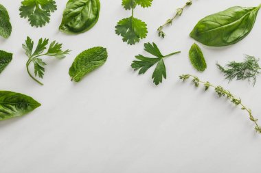 Top view of basil, dill, peppermint, cilantro, parsley and thyme twigs on white background clipart