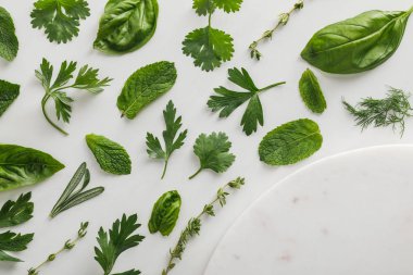 Top view of round marble surface near thyme, rosemary, basil, dill, peppermint, cilantro and parsley leaves on white background clipart