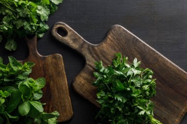 Top view of brown wooden cutting boards with parsley, peppermint and cilantro  bundles on dark surface clipart