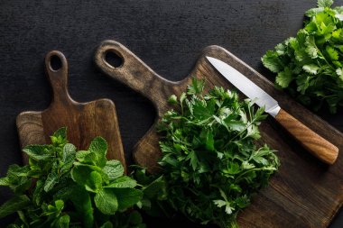 Top view of brown wooden cutting boards with parsley, peppermint and cilantro  bundles with knife on dark surface clipart