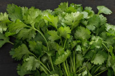 Close up view of fresh green parsley bundle on dark surface clipart
