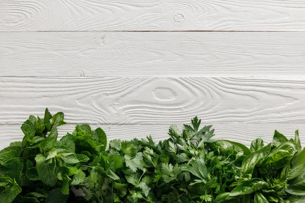 Top View Green Basil Cilantro Parsley Peppermint Bundles White White — Stock Photo, Image