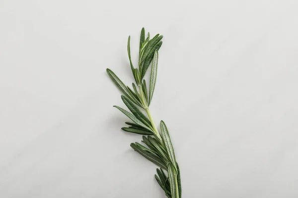 Top View Fresh Rosemary Twig White Background — Stock Photo, Image