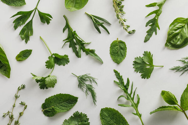 Top view of arugula, basil, cilantro, dill, parsley, rosemary and thyme twigs on white background