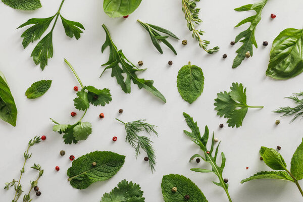 Top view of arugula, basil, cilantro, dill, parsley, rosemary and thyme twigs with peppercorns on white background