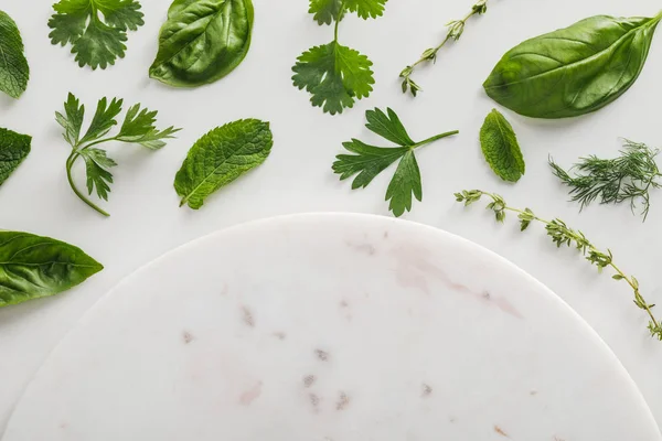 Top View Marble Surface Basil Peppermint Cilantro Dill Parsley Leaves — Stock Photo, Image
