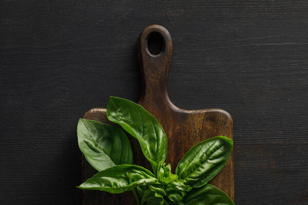 Top view of brown wooden cutting board with basil twig on dark surface