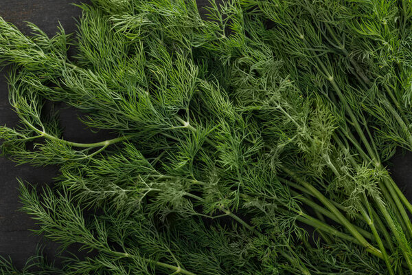 Close up view of fresh green dill bundle on dark surface
