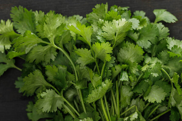 Close up view of fresh green parsley bundle on dark surface
