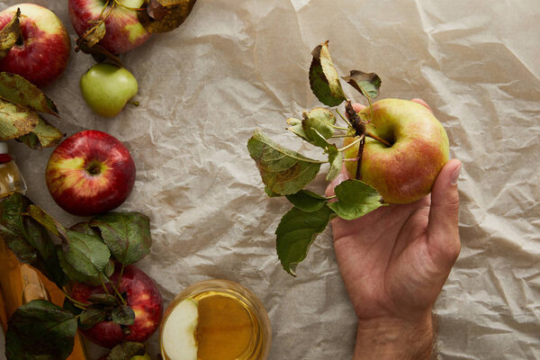 cropped view of man holding apple above parchment paper and glass of cider