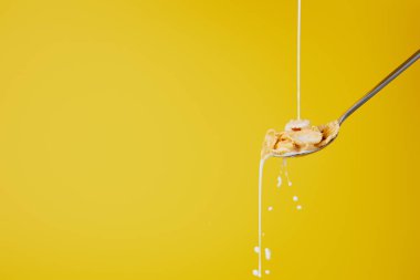 spoon with cornflakes and milk stream isolated on yellow clipart