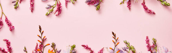panoramic shot of fresh wildflowers on pink background with copy space
