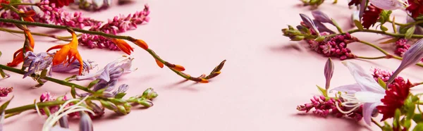 Панорамний Знімок Різних Диких Квітів Рожевому Фоні — стокове фото