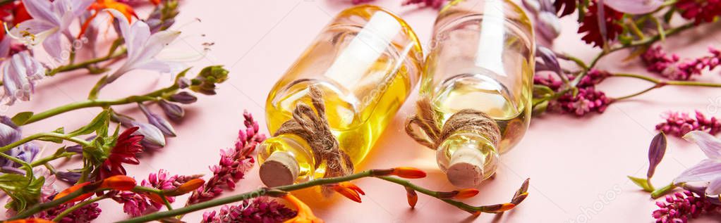 panoramic shot of bottles with oil on pink background with fresh wildflowers