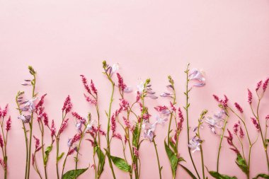 kopya alanı ile pembe arka plan üzerinde kır çiçekleri sprigs üst görünümü