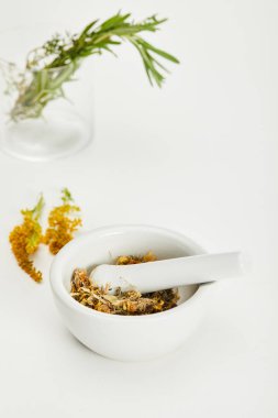 beyaz arka plan üzerinde goldenrod dal ve cam yakın bitkisel karışımı ile harç ve havaneli