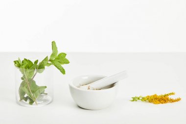 mortar and pestle near goldenrod twig and glass with fresh mint on white background clipart